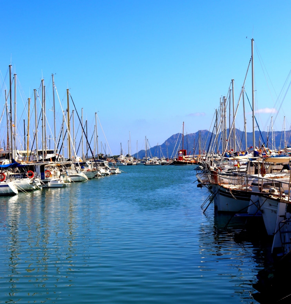 La Cantina del Moll Nou | Tapas y mariscos frescos en Port de Pollença